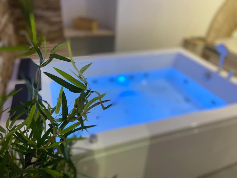 Lover Dose Spa Vierzon Luaran gambar